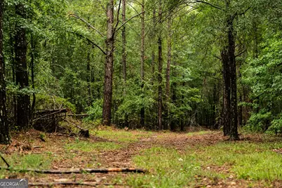 990 Ga Hwy 49 S, Americus, GA 31719 - Photo 69
