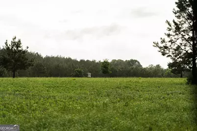 990 Ga Hwy 49 S, Americus, GA 31719 - Photo 87