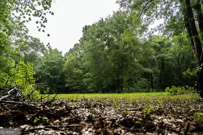 990 Ga Hwy 49 S, Americus, GA 31719 - Photo 73