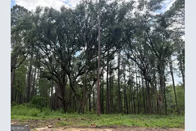 1144 Highway 80, Swainsboro, GA 30401 - Photo 9