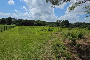 0 Trickum Creek Rd, Tyrone, GA 30290 - Photo 1