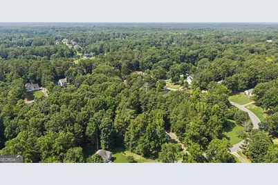 87 Tremont Street, Sharpsburg, GA 30277 - Photo 53