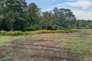 1737 Bethesda Church Rd, Carrollton, GA 30117 - Photo 53