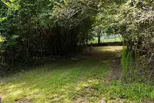 3729 Duncan Bridge Rd, Cornelia, GA 30531 - Photo 57