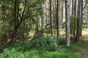 3729 Duncan Bridge Rd, Cornelia, GA 30531 - Photo 47