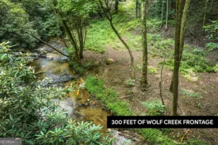00 Mill Race Dr, Mineral Bluff, GA 30559 - Photo 1