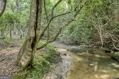 00 Mill Race Drive, Mineral Bluff, GA 30559 - Photo 13