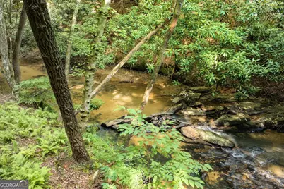 00 Mill Race Drive, Mineral Bluff, GA 30559 - Photo 3