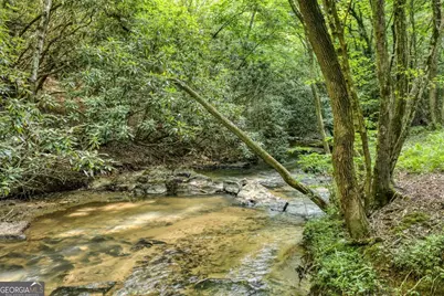 00 Mill Race Drive, Mineral Bluff, GA 30559 - Photo 11