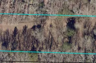 904 Eastside School Rd, Senoia, GA 30276 - Photo 15