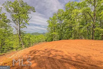 0 Wynngate Drive #21, Dillard, GA 30537 - Photo 3