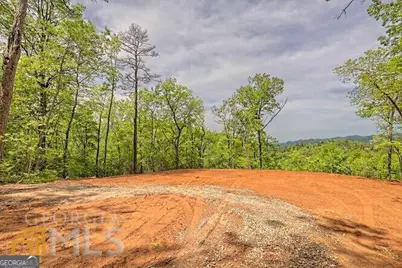 0 Wynngate Drive #21, Dillard, GA 30537 - Photo 5