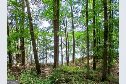 548 Old Beacon Light Road, Hartwell, GA 30643 - Photo 5
