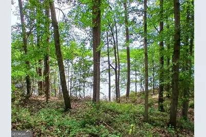 548 Old Beacon Light Road, Hartwell, GA 30643 - Photo 9
