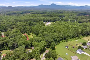 126 Windchime Circle, Demorest, GA 30535 - Photo 45