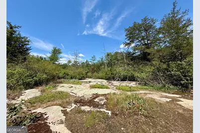 14.21 Acres NW Irwin Bridge Road, Conyers, GA 30012 - Photo 5