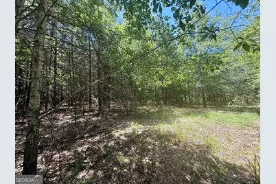 14.21 Acres NW Irwin Bridge Road, Conyers, GA 30012 - Photo 3