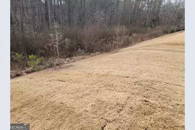 275 Southridge, Senoia, GA 30276 - Photo 37