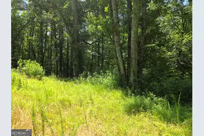 1347 Windom Road, Tallapoosa, GA 30176 - Photo 25