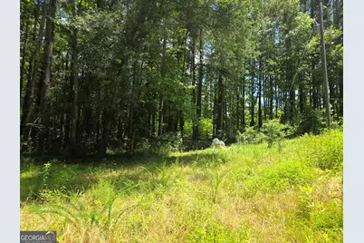 1347 Windom Road, Tallapoosa, GA 30176 - Photo 27