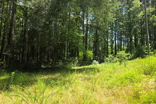 1347 Windom Rd, Tallapoosa, GA 30176 - Photo 27