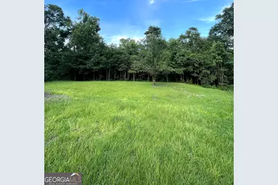 355 Thurmon Loop Road, Jesup, GA 31545 - Photo 35
