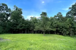 355 Thurmon Loop Rd, Jesup, GA 31545 - Photo 35