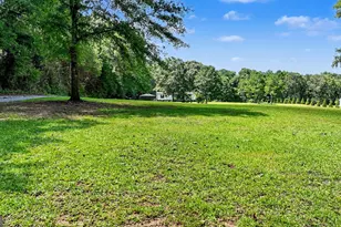 223 Russell Rd, Milner, GA 30257 - Photo 9
