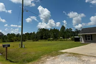 354 Peach Ln, Baxley, GA 31513 - Photo 25