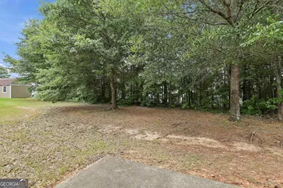 310 Megan Drive, Hampton, GA 30228 - Photo 41