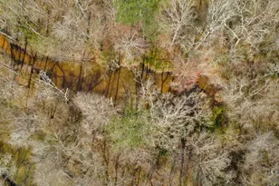 138 Lewis Rd, Jackson, GA 30233 - Photo 7