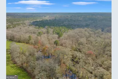 138 Lewis Road, Jackson, GA 30233 - Photo 13