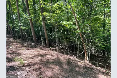 0 Rizzitello Lane #5, Blairsville, GA 30512 - Photo 3