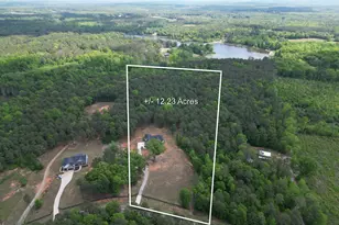 787 Silver Dollar Rd, Milner, GA 30257 - Photo 3
