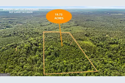 0 Howard Road, Roberta, GA 31078 - Photo 3