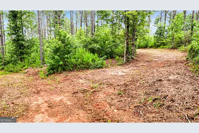 0 Howard Road, Roberta, GA 31078 - Photo 13