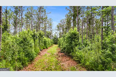 0 Howard Road, Roberta, GA 31078 - Photo 11