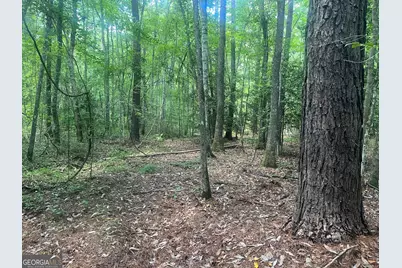 Tbd Wriley Road, Mcintyre, GA 31054 - Photo 23