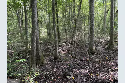 Tbd Wriley Road, Mcintyre, GA 31054 - Photo 25