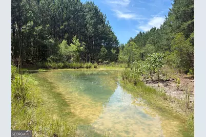 Tbd Wriley Road, Mcintyre, GA 31054 - Photo 3