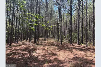 Tbd Wriley Road, Mcintyre, GA 31054 - Photo 5