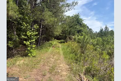 Tbd Wriley Road, Mcintyre, GA 31054 - Photo 17