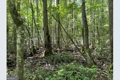 Tbd Wriley Road, Mcintyre, GA 31054 - Photo 27
