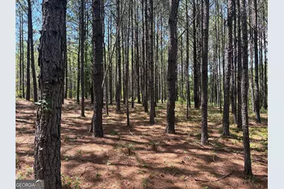 Tbd Wriley Road, Mcintyre, GA 31054 - Photo 7