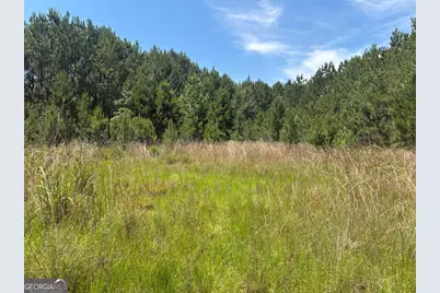 Tbd Wriley Road, Mcintyre, GA 31054 - Photo 9