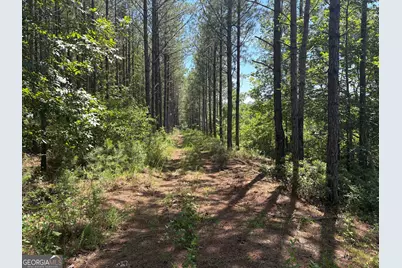 Tbd Wriley Road, Mcintyre, GA 31054 - Photo 15