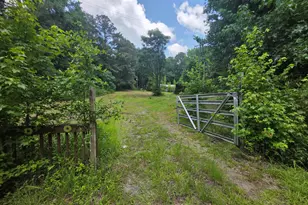 374 Smith Rd, Newnan, GA 30263 - Photo 5
