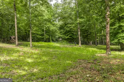 1768 Thomaston Highway, Butler, GA 31006 - Photo 29