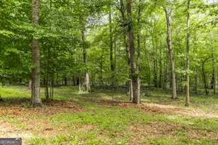 1768 Thomaston Hwy, Butler, GA 31006 - Photo 33