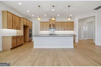 71 Ballyfin Way, Newnan, GA 30263 - Photo 9